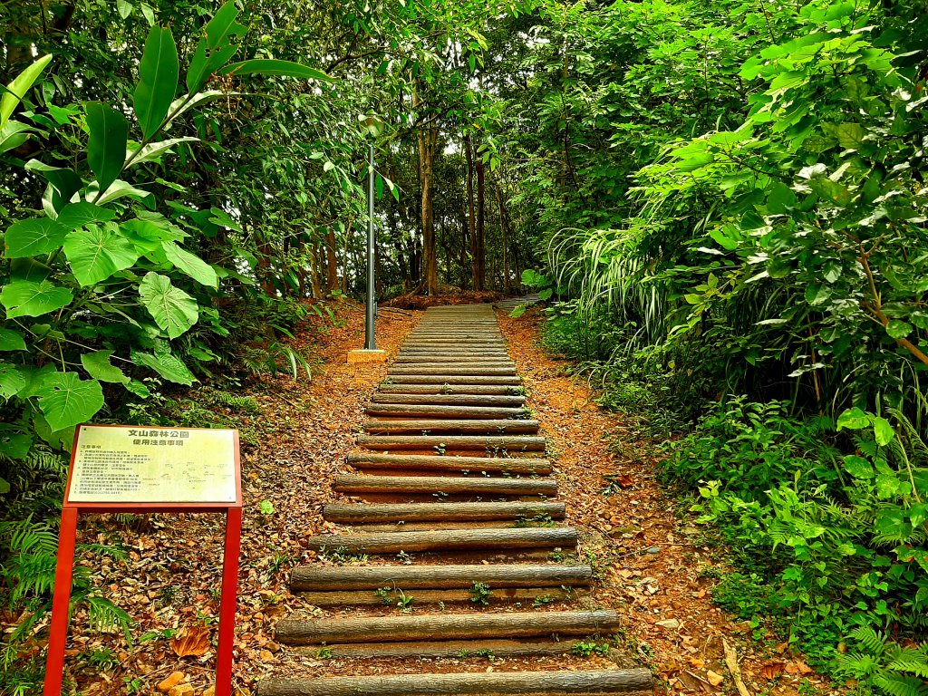 臺北趴趴走｜文山森林、台大、林森、淡水、大安森林、象山_2238212