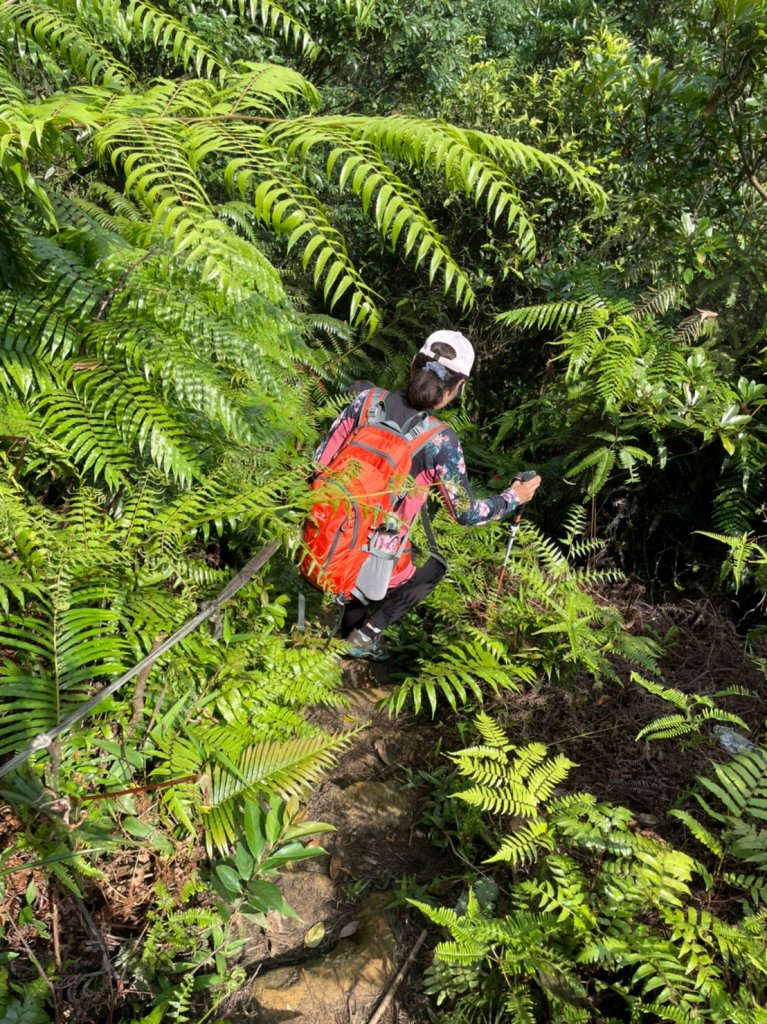 瑪陵尖群峰_1740679