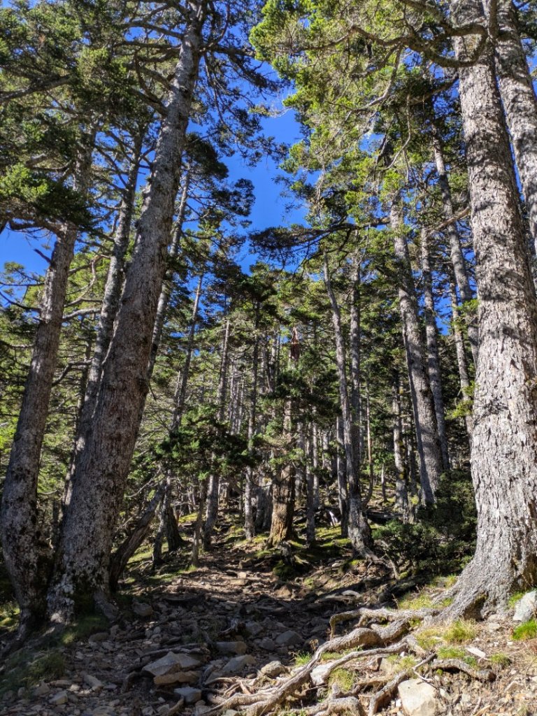 20250927雪山主東峰_2916240