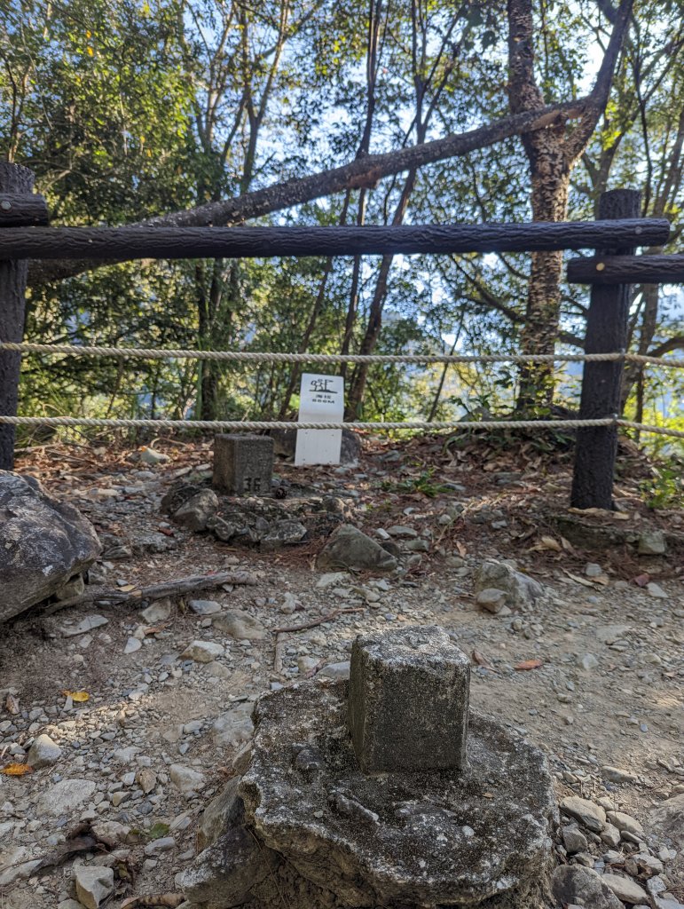 谷關七雄：有點硬陡的波津加山（捎來吊橋進、谷關吊橋出）_1861386