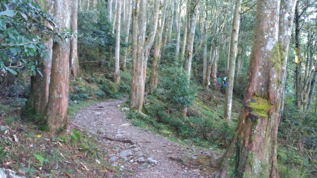 大地紅毯~~稍來山_238292