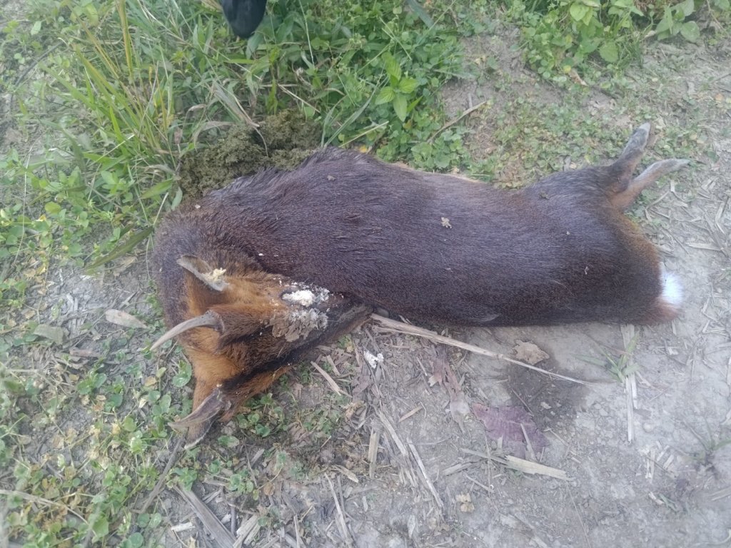 幾阿佐名山_2664465