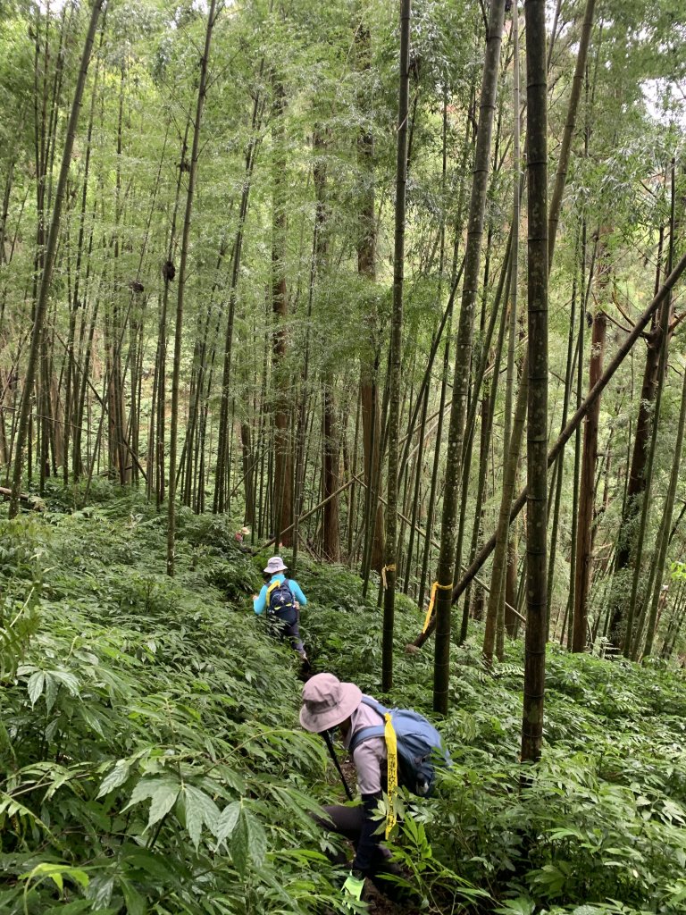 20251220嘉義凸龜山-芙蓉山-天福山_2973797