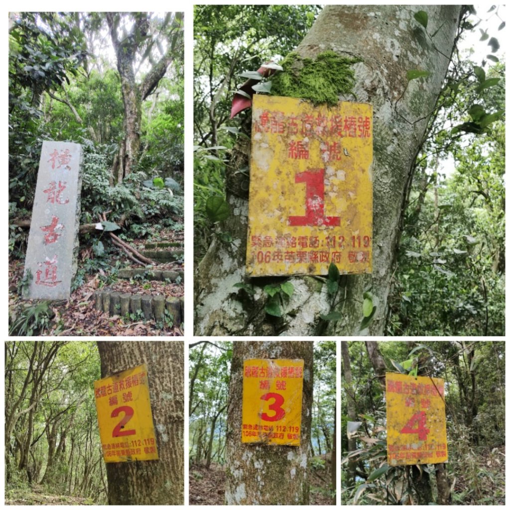 2025/6/14 橫龍山封面圖