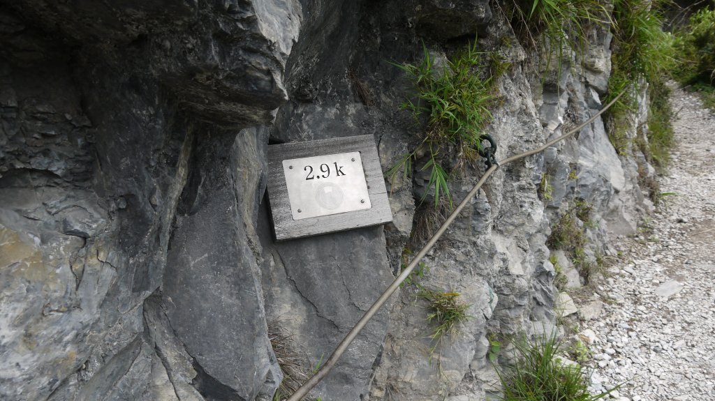 錐麓古道登山健行趣(古道)_1741993