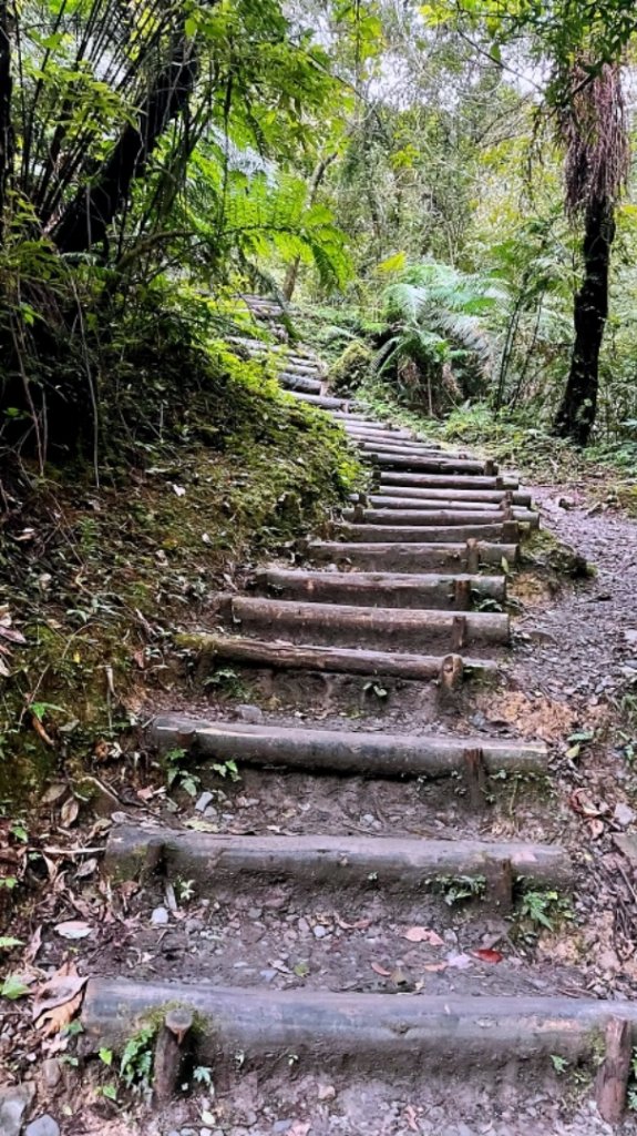 20220116_宜蘭中央公園、冬山河親水公園、林美盤石步道、羅東梅花湖步道_1583977