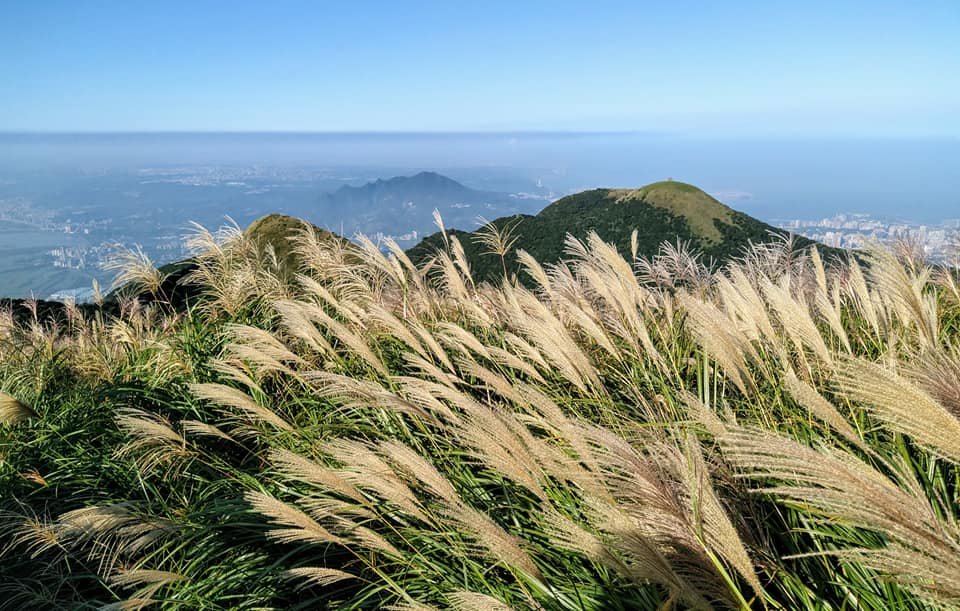 臺北大縱走2：二子坪到小油坑_1488585