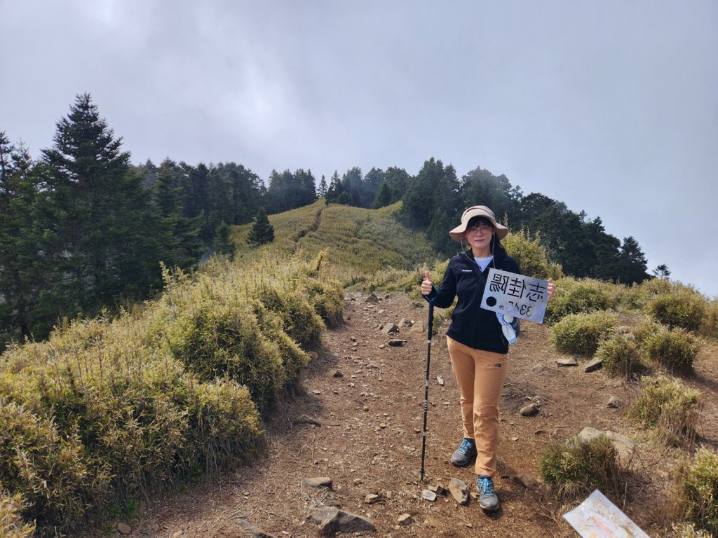 【百岳】志佳陽大山_2779800