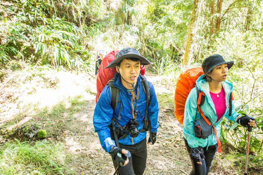 水樣森林 第一次在山裡過夜_659824