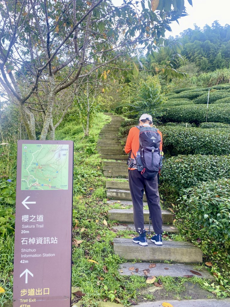 頂石棹步道、迷糊步道、福山古道悠遊    2023.8.24_2262389