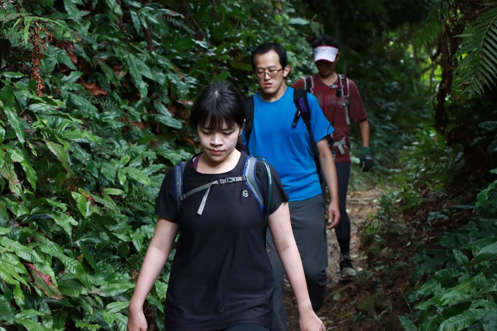 圓通寺。五尖山。烘爐地封面圖