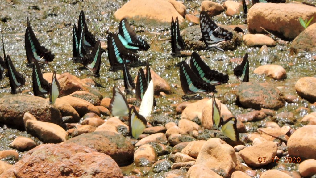 就是喜歡這個藍天白雲的FU_1030353