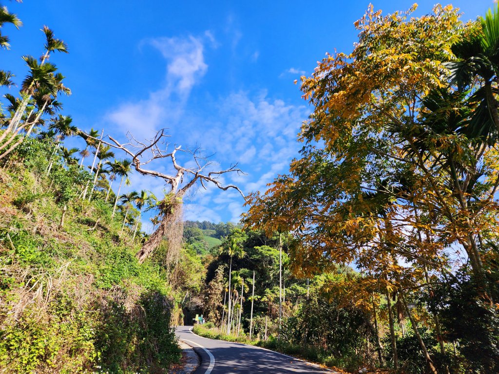小百岳集起來-梨子腳山_2182928