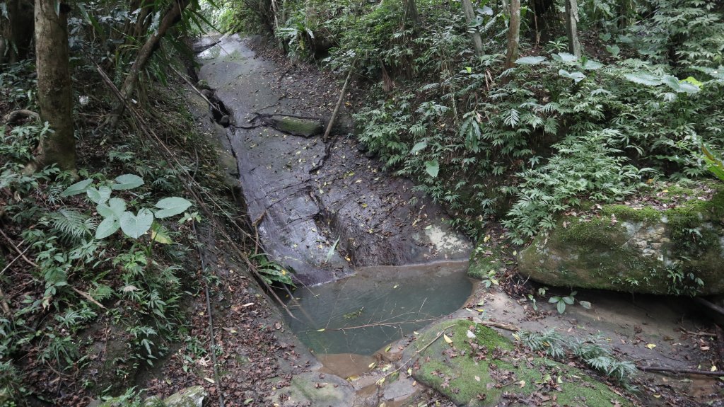 獵貍尖步道連走烏塗溪步道登山健行趣(淡蘭南路TK3-6&TK3-5&TK3-4)_2404527