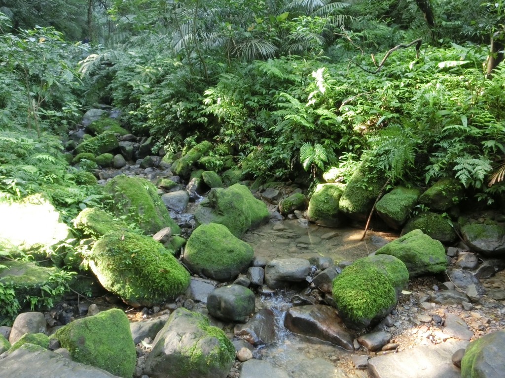 二格山（草湳Ｏ型）_93226