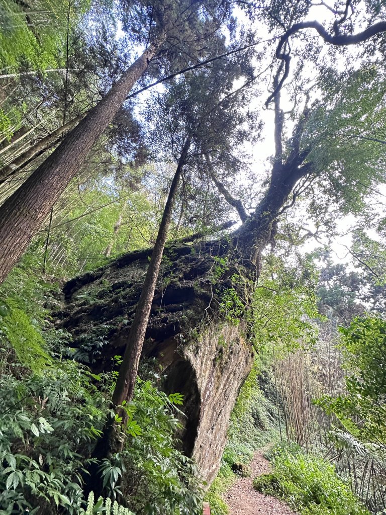 大凍山連走芙蓉山小O繞_2470528