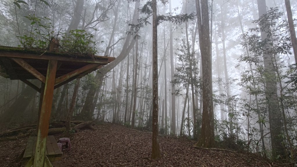 溪頭鳳凰山_2759189