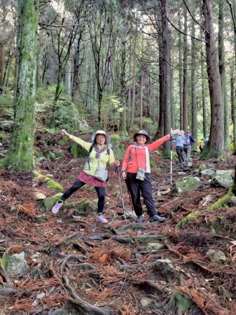 觀霧-榛山步道_2926034