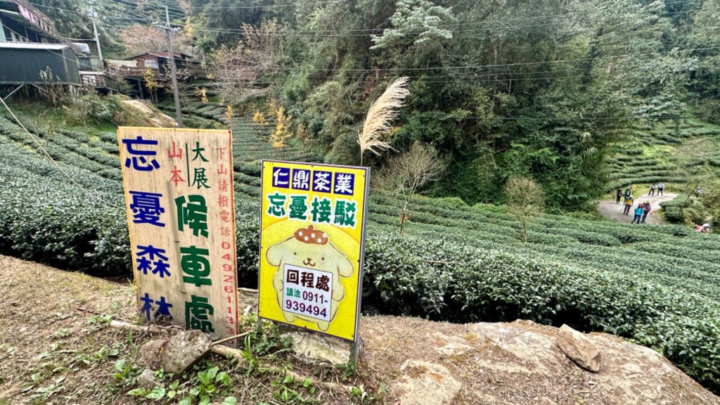 忘憂森林.金柑樹山封面圖