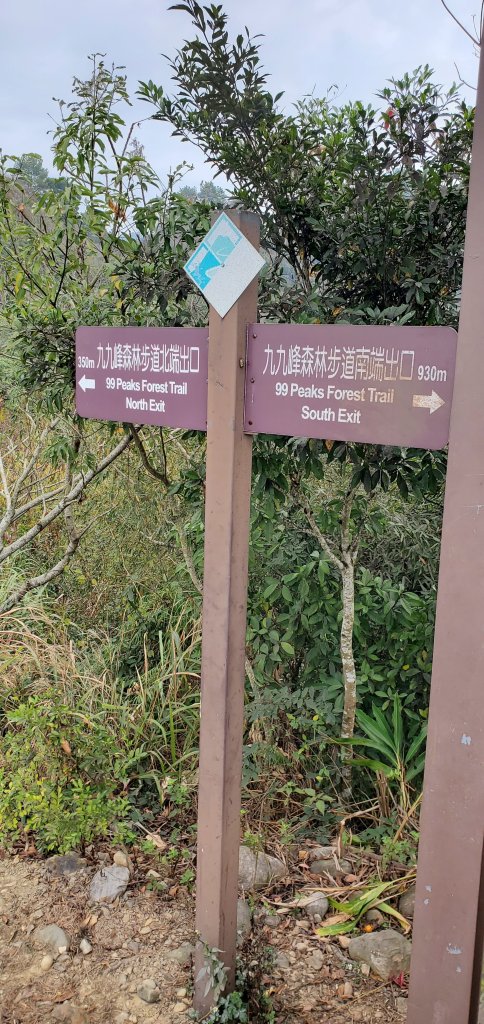 2024-01-28九九峰森林步道_2412628