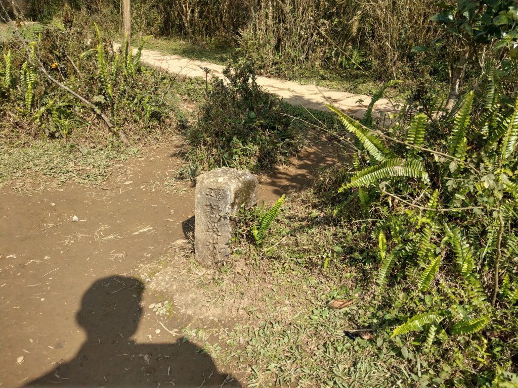 冷水坑-擎天崗環狀步道(竹嵩山)-風櫃嘴_821112