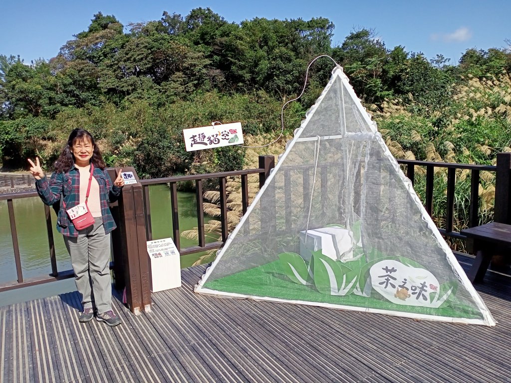 【臺北大縱走 7】貓空站→樟樹、飛龍步道_1254288