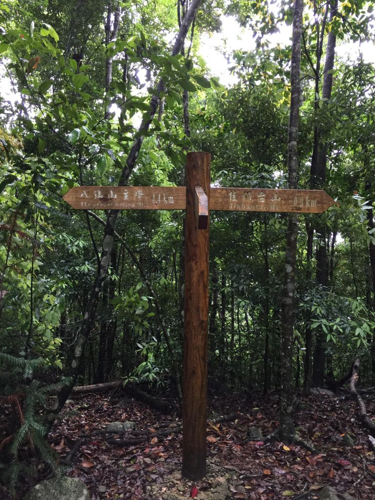 無緣東卯山~意外遇見佳保台山_128099