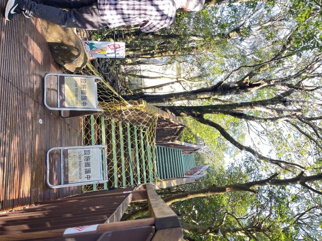 東眼山 自導式步道 三角點_2975876