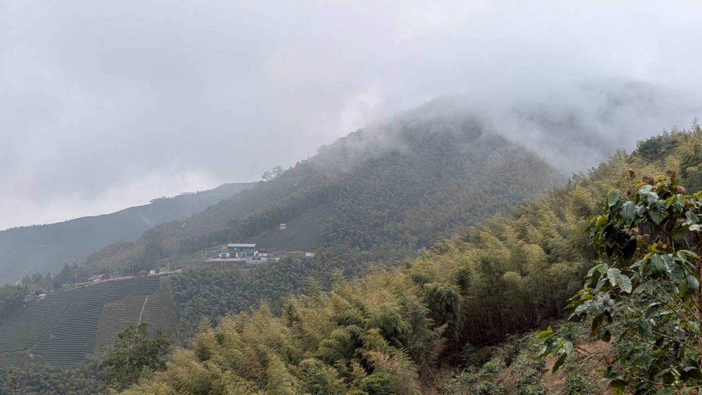 雲嘉五連峰 (大尖山、二尖山、馬鞍山、梨子腳山、太平山)_2991076