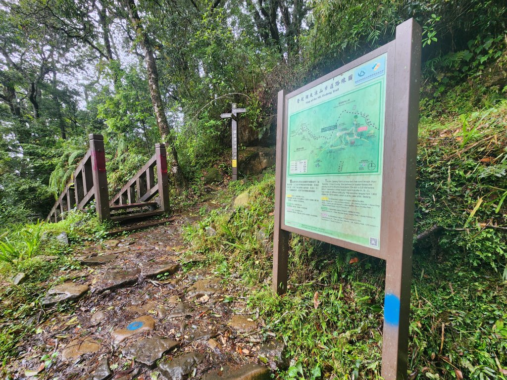 20250719頂湖上大凍山_2907136