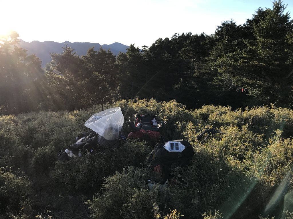 能高安東軍縱走之鹿_1192618