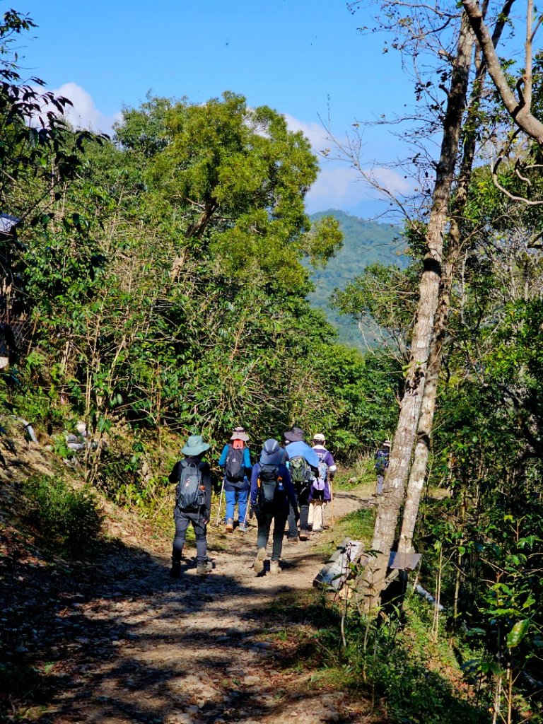 德文山步道(觀望山)-2024屏步青雲 尋寶任務_2681816