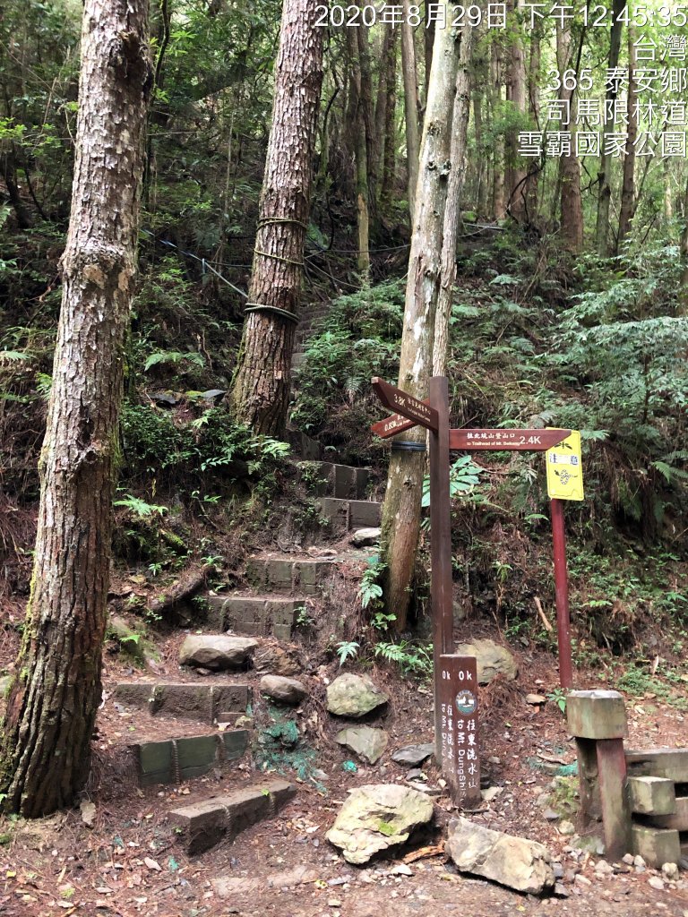 雪見遊憩區/司馬限林道/東洗水山_1086224