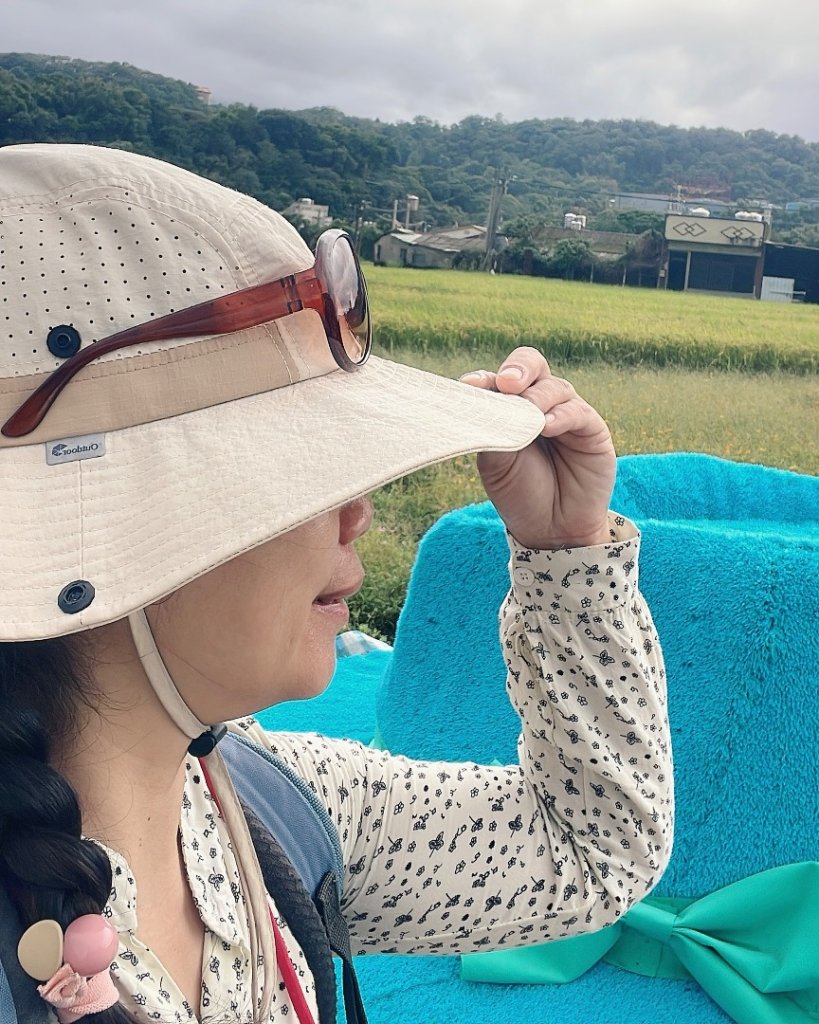 桃園大溪-花彩節🌼李騰芳古厝-月眉落雨松_2934760