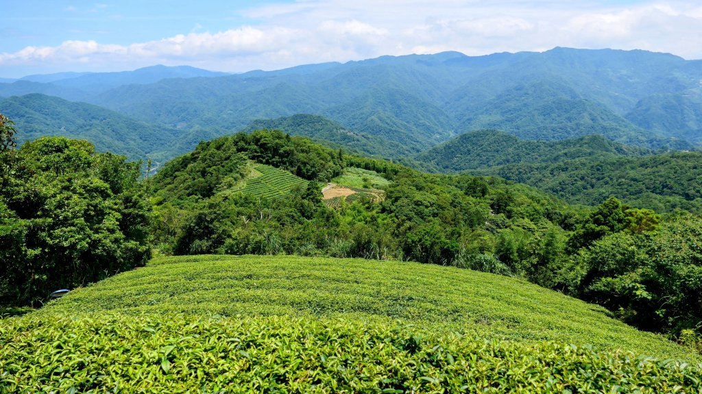 石碇大崙,人頭面山,獅公髻尾山封面圖