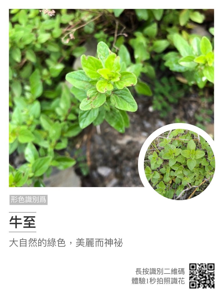 玉山前峰 - 山是家的延伸_628451