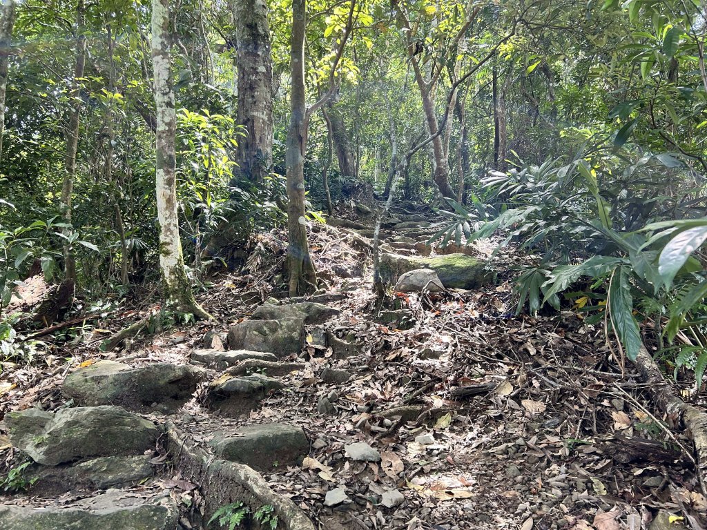 內洞國家森林遊樂區_2806879