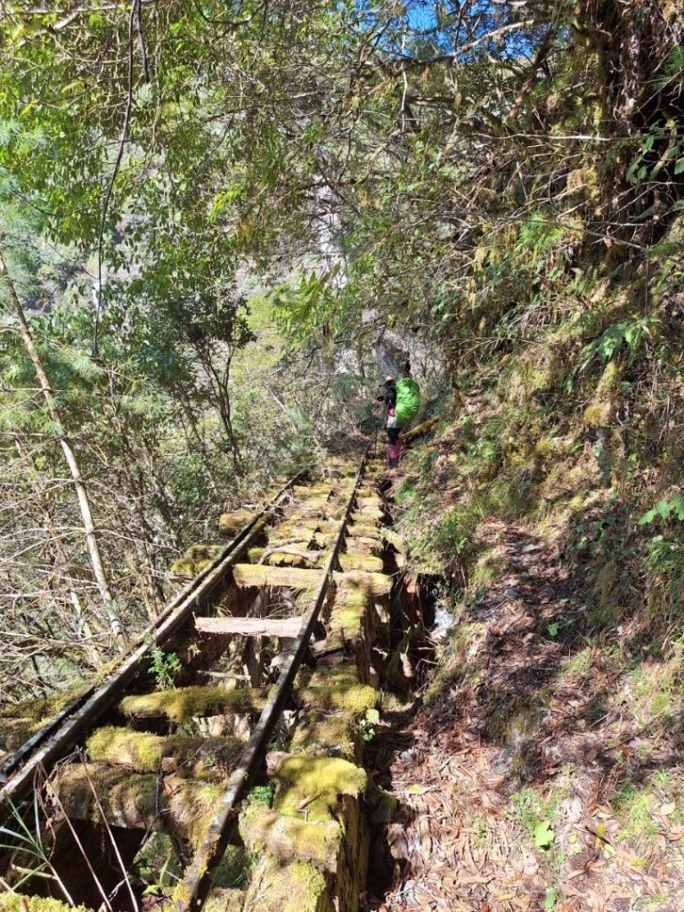 前進嵐山森林鐵道之好山好水好難走的嵐山工作站_2427572