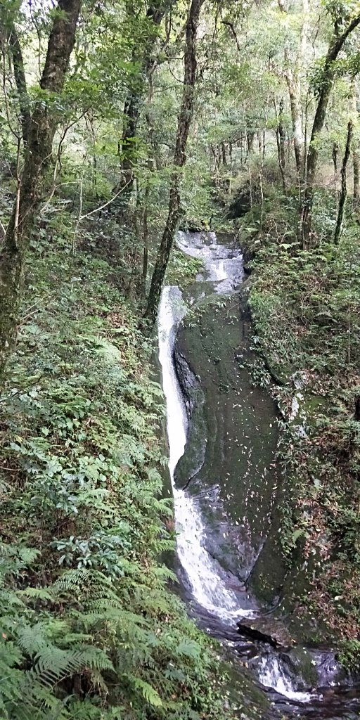 內鳥嘴山，北得拉曼神木群步道，瀑布初體驗_1062711