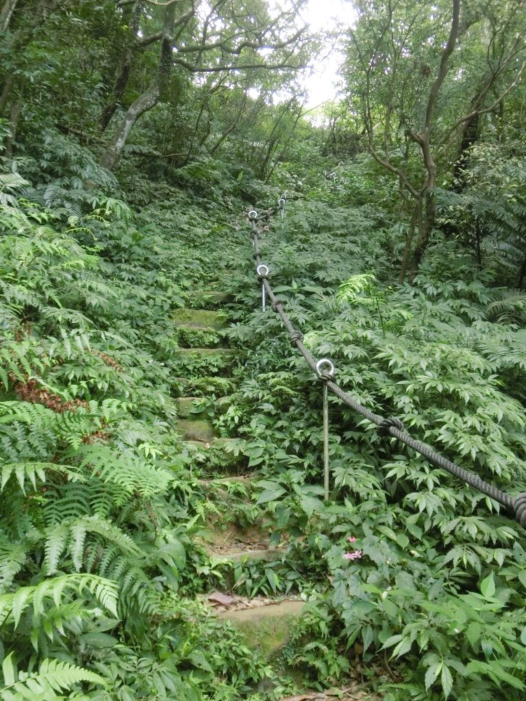 荖寮坑古道．淡蘭古道暖東舊道_158200