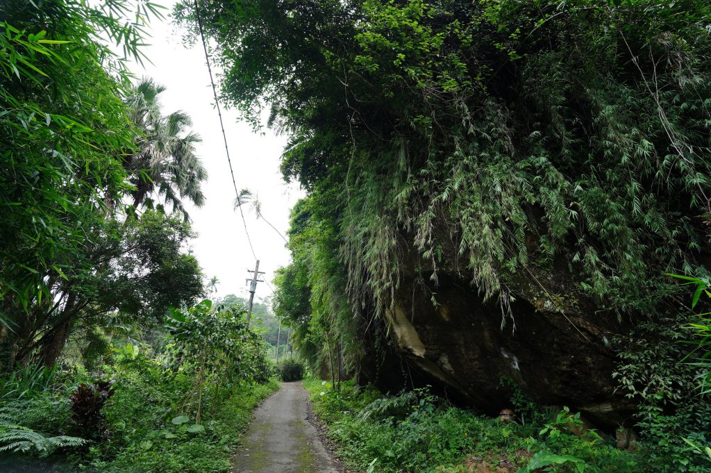 臺北 南港 南港山、拇指山、象、獅、豹、虎、四分里山、茅草埔山_2803414