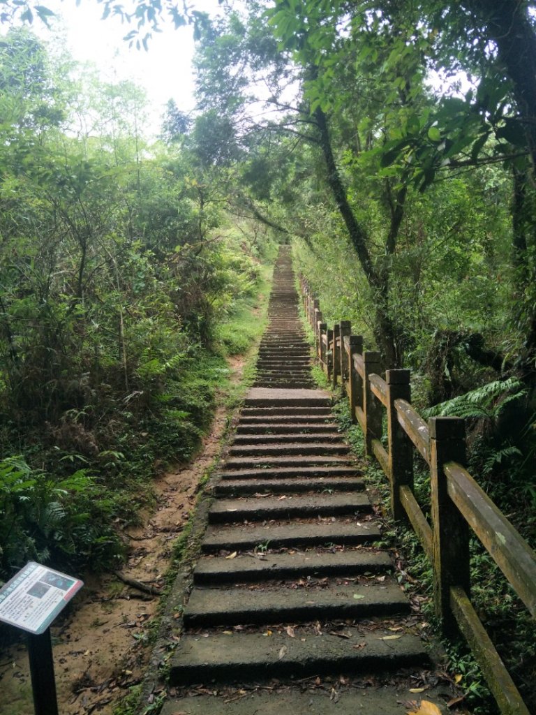 灣坑頭山步道_1751736