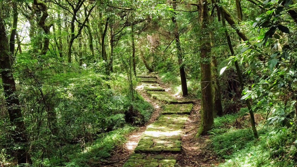 環七星山步道,百拉卡步道,清天宮_1794814