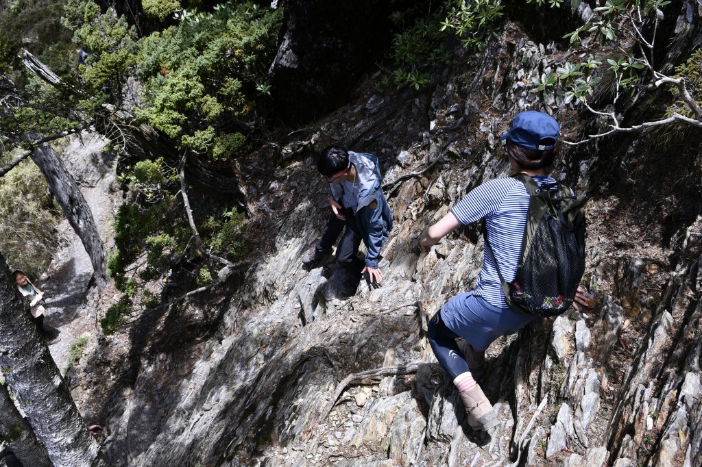 八通關上玉山_1025194