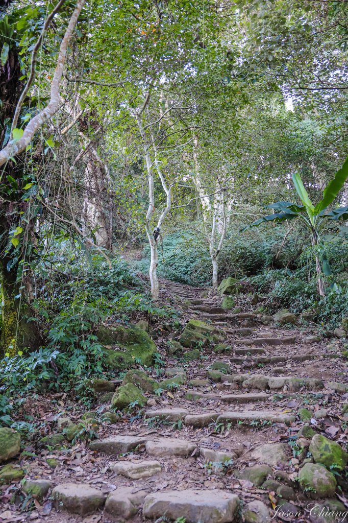 [苗栗]馬那邦山_2355134