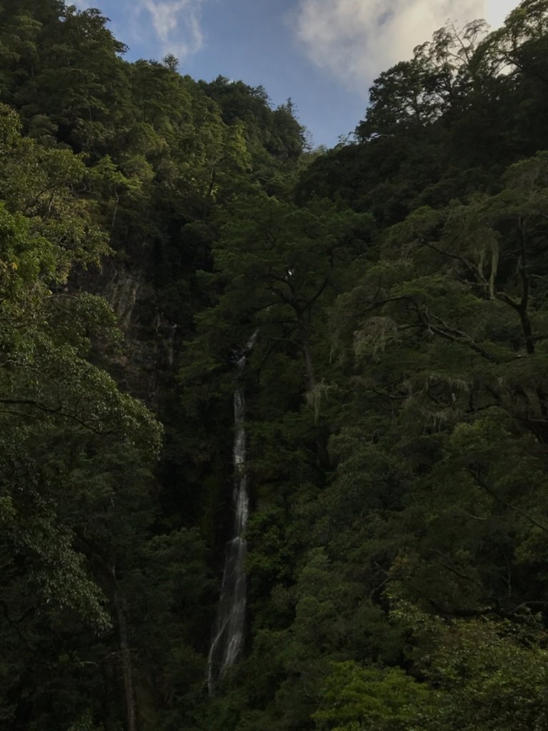 觀霧瀑布步道封面圖