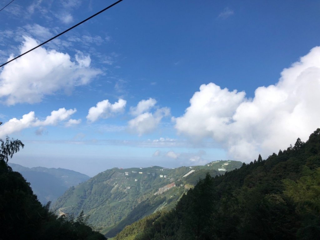 2018.11.14 忘憂森林封面圖