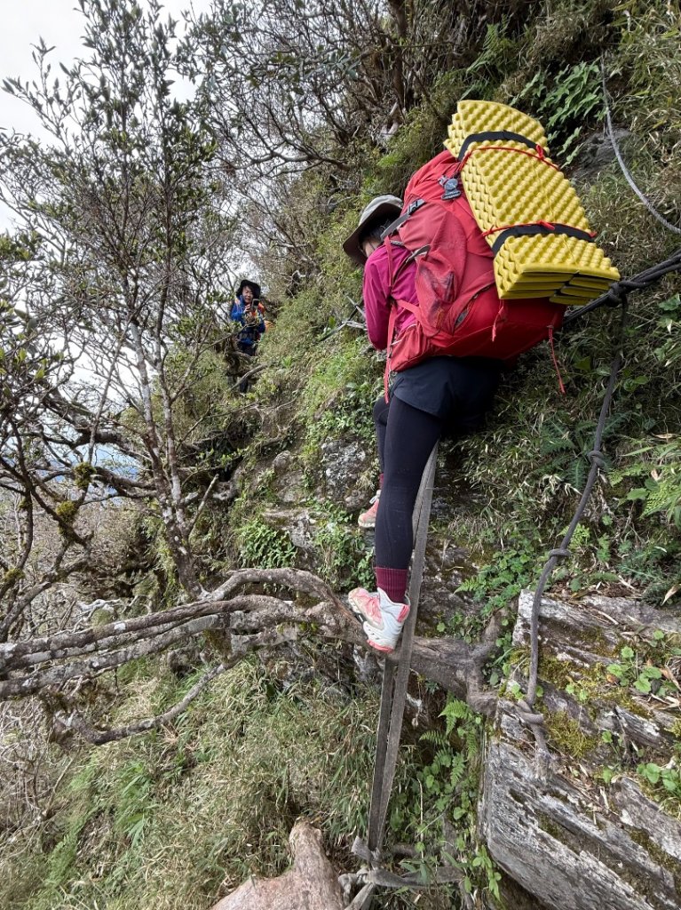 能高安東軍 被水鹿包圍的奇幻冒險旅程_2811255