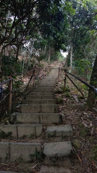 2020 4/6 南觀音山_904960