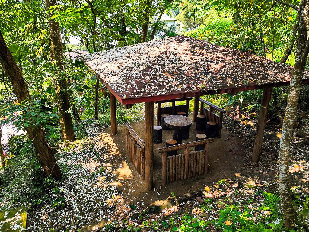 2025-04-27 三員縱走封面圖